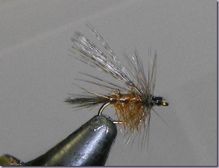 clip_image038 clip_image038