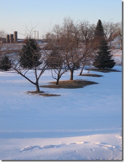 Feb. 19, 2010 016