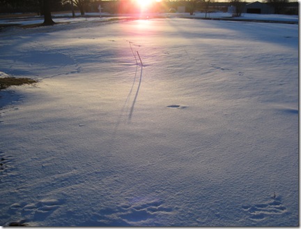 Feb. 19, 2010 021