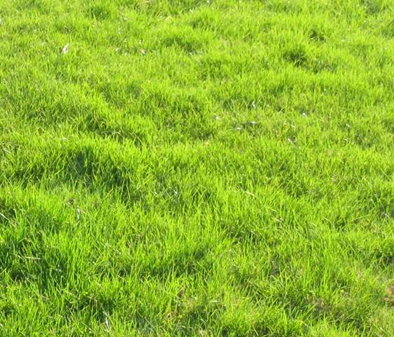 [April131420101034.jpg]