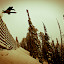 Skier: Mikey Photo: Gabe Rogel/rogelphoto.com