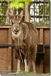 DSC_1952 DSC_1952