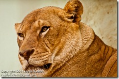 DSC_1983 DSC_1983