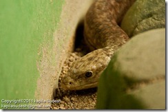 DSC_1763 DSC_1763