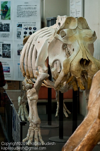 [DSC_2039[3].jpg]