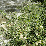 DSC00035.JPG