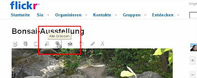 Screenshot Flickr Lupe