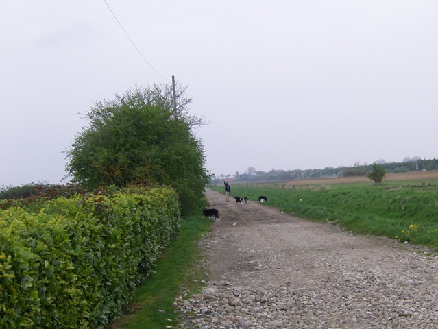 [Walkies 011[3].jpg]