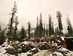 DSC_0153.jpg