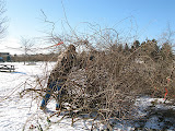 IMG_9235.JPG