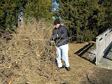 IMG_9241.JPG