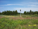 pic2.jpg