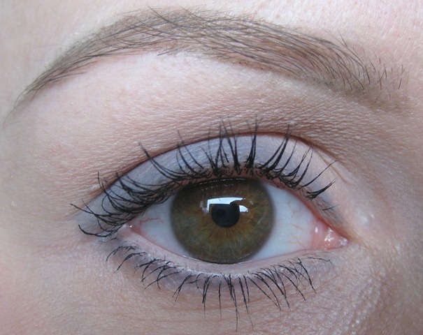 [Eye[8].jpg]