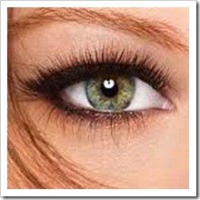 lash perfect