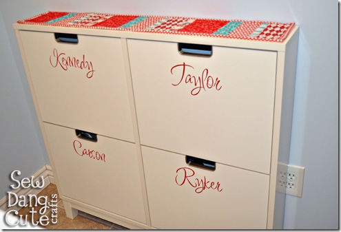 Shoe-organizer