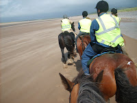 Lake District 2009 Heavyhorses 031.JPG Photo