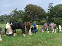 Lake District 2009 Heavyhorses 044.JPG Photo