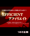 EFFICIENT�A�t�B���G�C�g