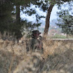 dsc0435h.jpg