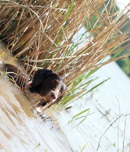 IMAGE: http://lh5.ggpht.com/_-U-MCepSAGw/S_Mq0kcDhQI/AAAAAAAAAEM/HWMy5a6riFM/s512/Lake12.jpg