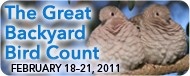 Poster for the Great Backyard Bird Count