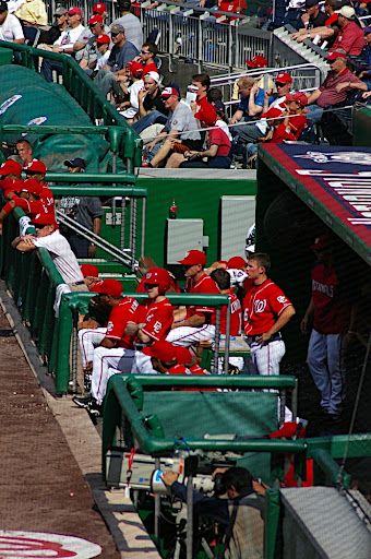 In the Dugout