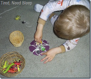 may 2010 017 may 2010 017