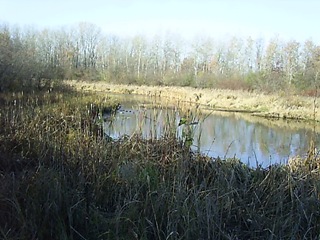 nature center, pond overlook