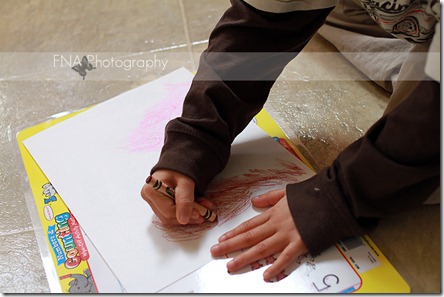 IMG_1341 IMG_1341