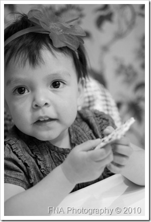IMG_2942 IMG_2942