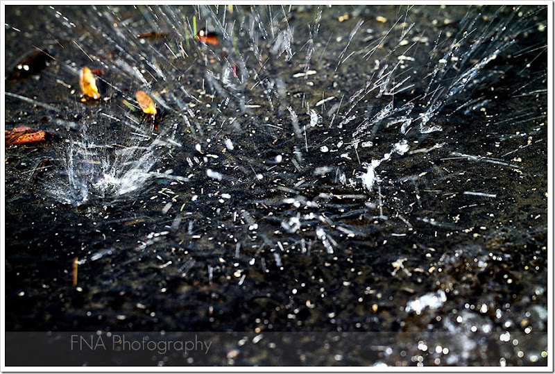 water-ice-17 water-ice-17