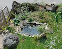 Dragonfly pond in our front garden