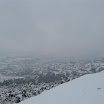 niksar81.jpg