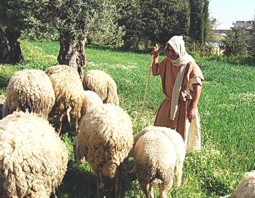 [Nazareth.Shepherd5.jpg]