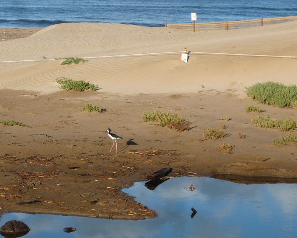 [P1210358[10].jpg]