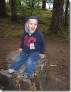 IMG_2417 IMG_2417