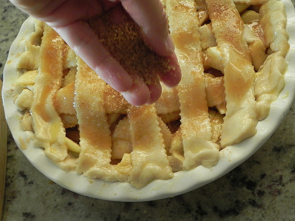 [DSCN7260[5].jpg&description=Salted Caramel Apple Pie')]