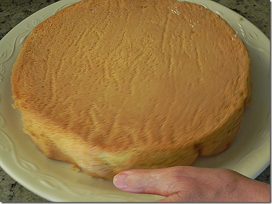 DSCN7511 DSCN7511