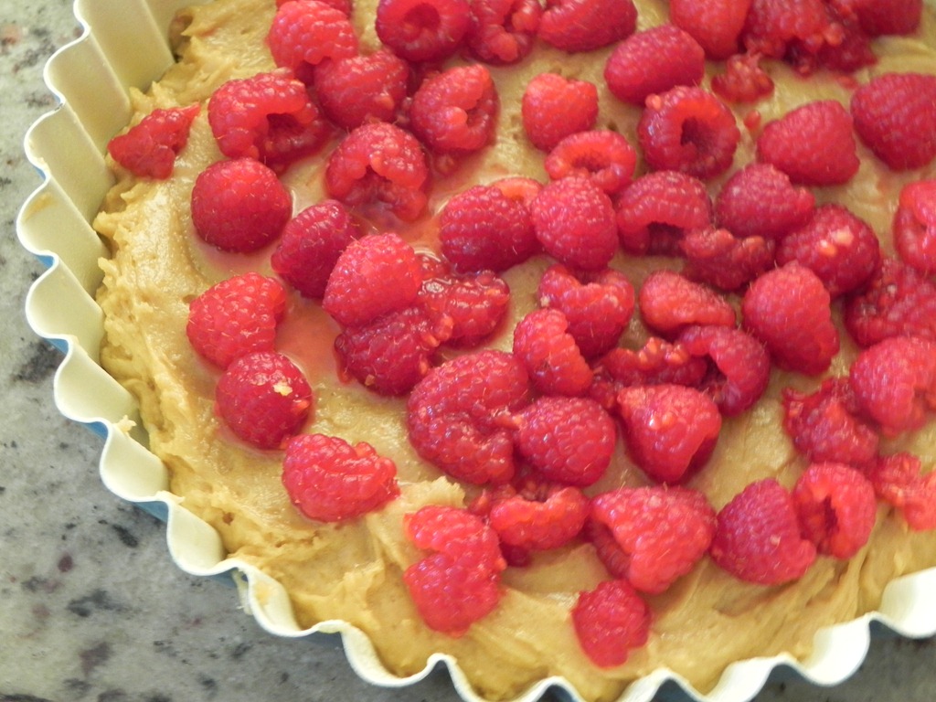 [DSCN7297[4].jpg&description=Raspberry and Lemon Torta')]