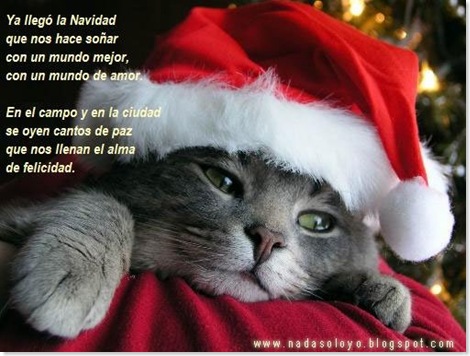 gatito navideño