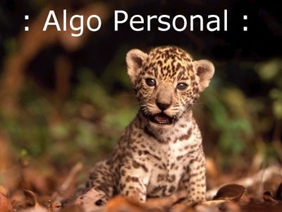 [ALGO PERSONAL 04[3].jpg]