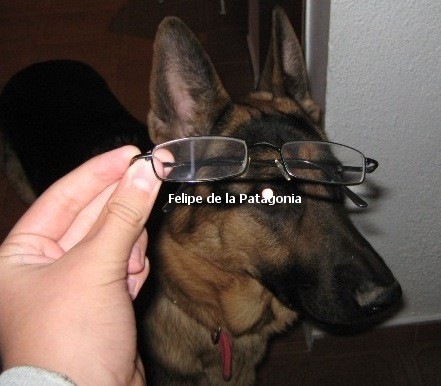 [felipillo_2[3].jpg]