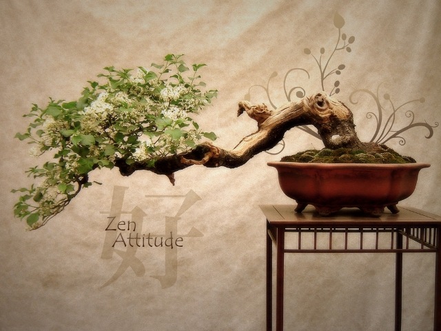 [Zen_Attitude-18[4].jpg]