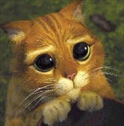 [gato_de_shrek[3].jpg]