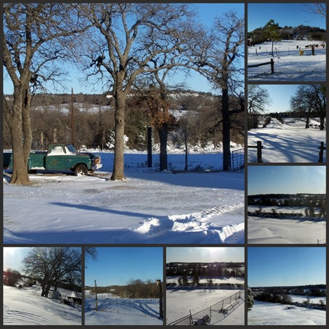 [snow 1[5].jpg]