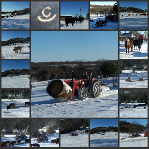 [snow 2[11].png]