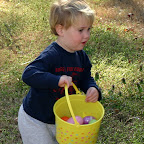 Run! The chickens are coming and they want their eggs back.