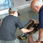 Petting Rosie the Columbian Boa at the SC Aquarium