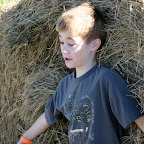 hay spider devours child