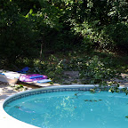 Taking a dip.
